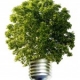 Проект по энергоэффективному освещению